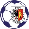 FSV Hirschberg/Saale II 